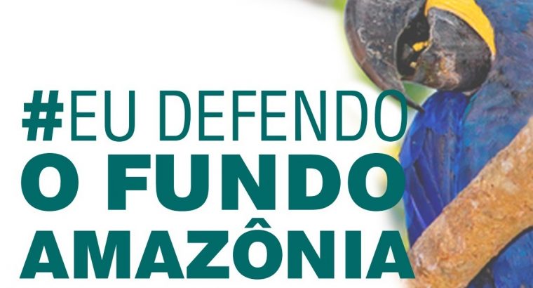 Afipea participa de ato em defesa do Fundo Amazônia